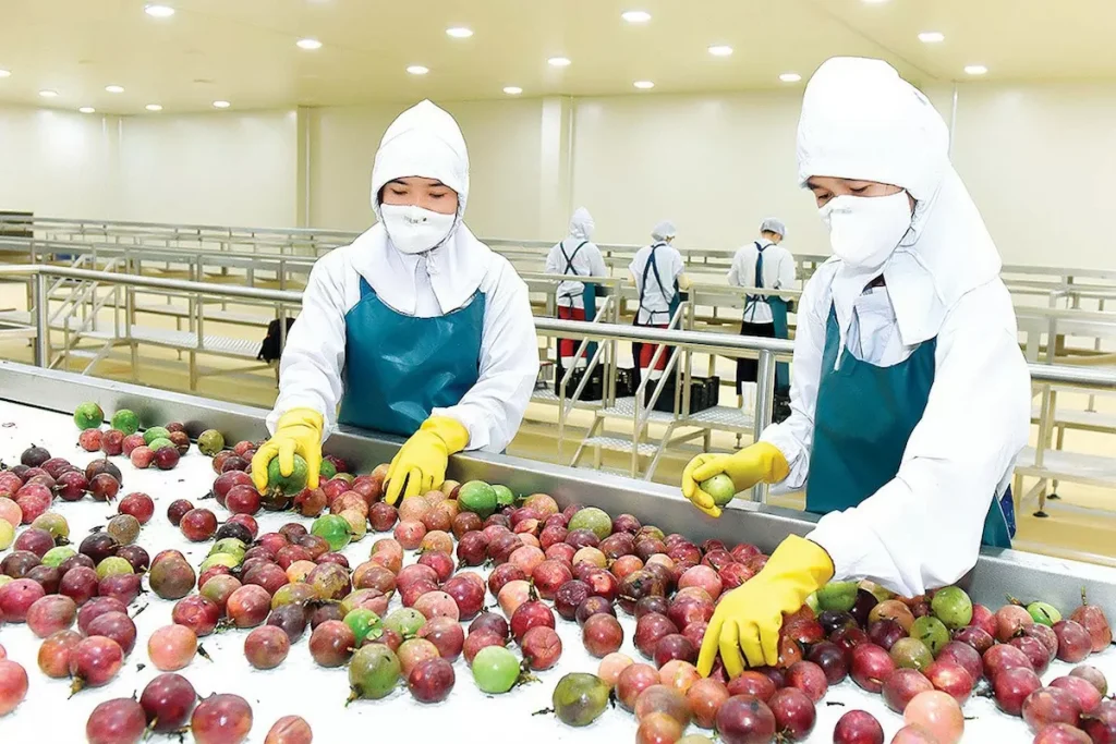 Đề nghị Quảng Tây (Trung Quốc) mở cửa thị trường cho nông sản chất lượng cao của Việt Nam image