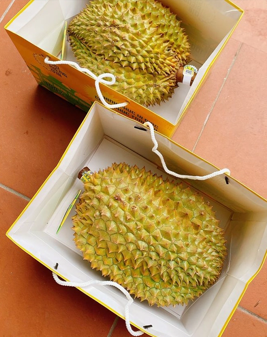 Quả Sầu Riêng Nguyên Quả image
