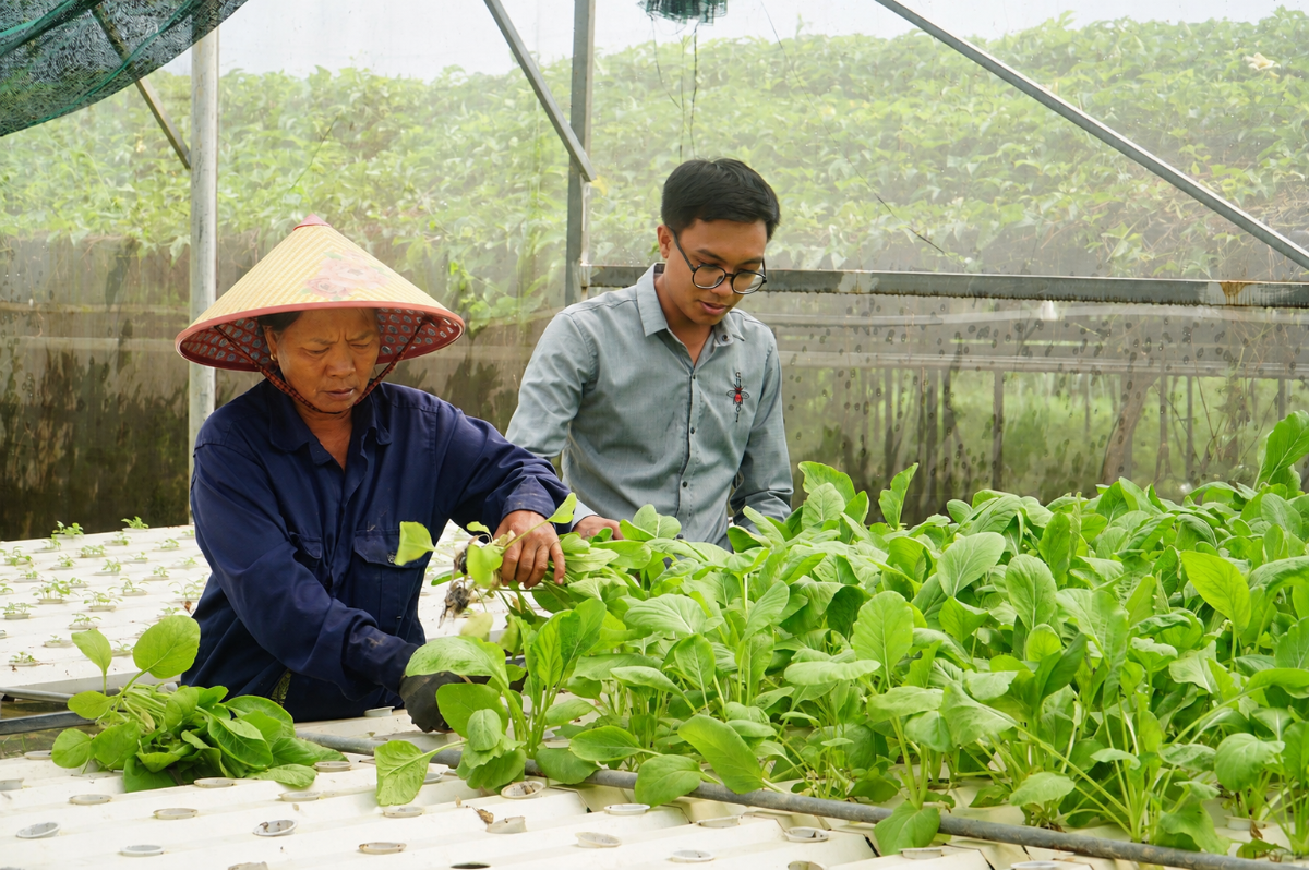 BẢO HỘ TÀI SẢN TRÍ TUỆ, TẠO ĐỘNG LỰC ĐƯA SẢN PHẨM OCOP ĐÀ NẴNG VƯƠN XA image