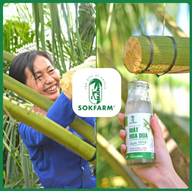 SOKFARM VÀ CÂU CHUYỆN TRUYỀN CẢM HỨNG image