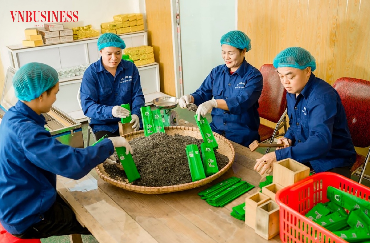 Các sản phẩm của HTX trà Sơn Dung được dán tem truy xuất nguồn gốc trước khi cung cấp ra thị trường.