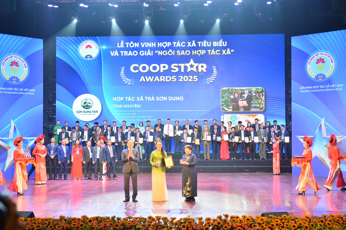 Năm 2025, HTX Trà Sơn Dung đã vinh dự được tôn vinh HTX tiêu biểu và nhận giải "Ngôi sao Hợp tác xã" do Liên minh HTX Việt Nam tổ chức.