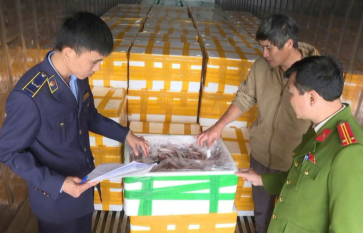 Lực lượng chức năng tỉnh Thanh Hoá phát hiện xe đầu kéo vận chuyển hơn 10 tấn cá khoai chứa formol.