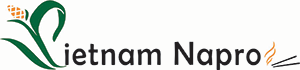 MỲ NGÔ LẠNG SƠN logo