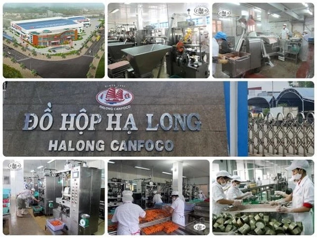SAU VỤ CÔNG TY ĐỒ HỘP HẠ LONG NHẬP HƠN 130 TẤN THỊT NHIỄM BỆNH, HẢI PHÒNG SIẾT NGUỒN GỐC THỰC PHẨM image