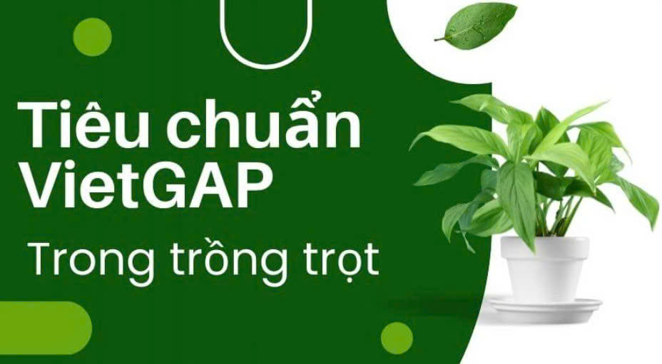 CHỨNG NHẬN VIETGAP SẢN PHẨM TRỒNG TRỌT image