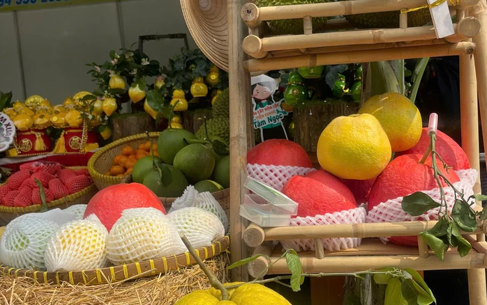 Bưởi đỏ, trái cây hồ lô