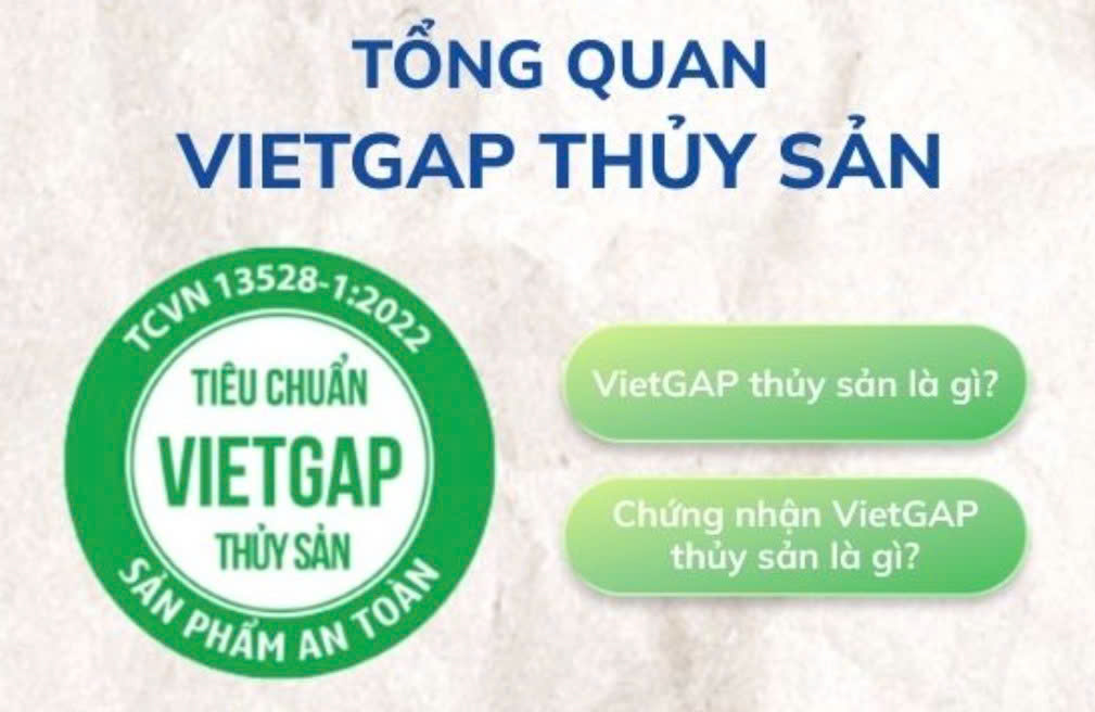CHỨNG NHẬN VIETGAP SẢN PHẨM THỦY SẢN image