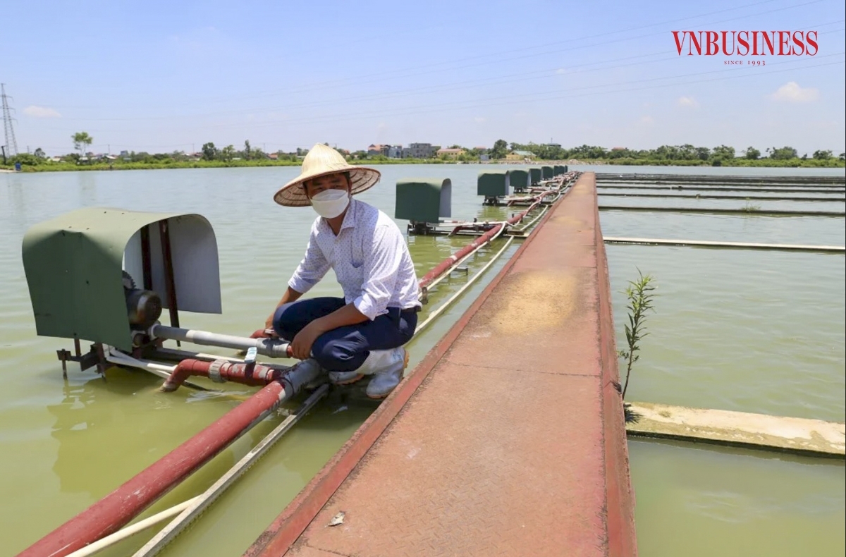 HTX KIỂU MỚI VÀ BƯỚC CHUYỂN ĐỨNG TRƯỚC THỊ TRƯỜNG ĐỂ DẪN DẮT CHUỖI GIÁ TRỊ image