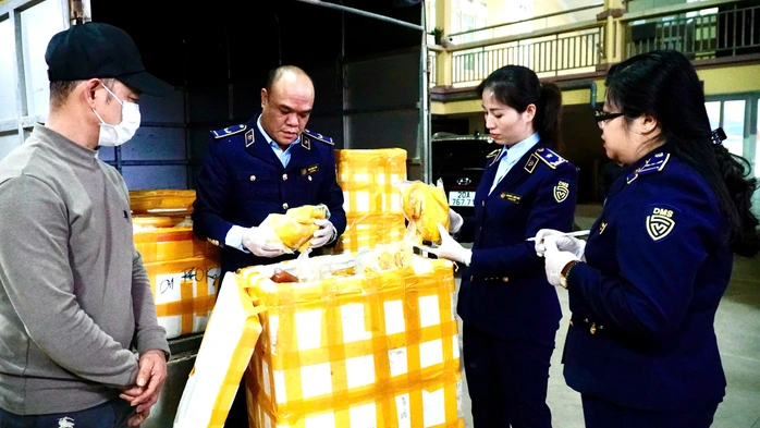 Lực lượng QLTT tỉnh Thái Nguyên kiểm tra và xử lý số lượng lớn chân gà rút xương và gà ủ muối trên đường lưu thông